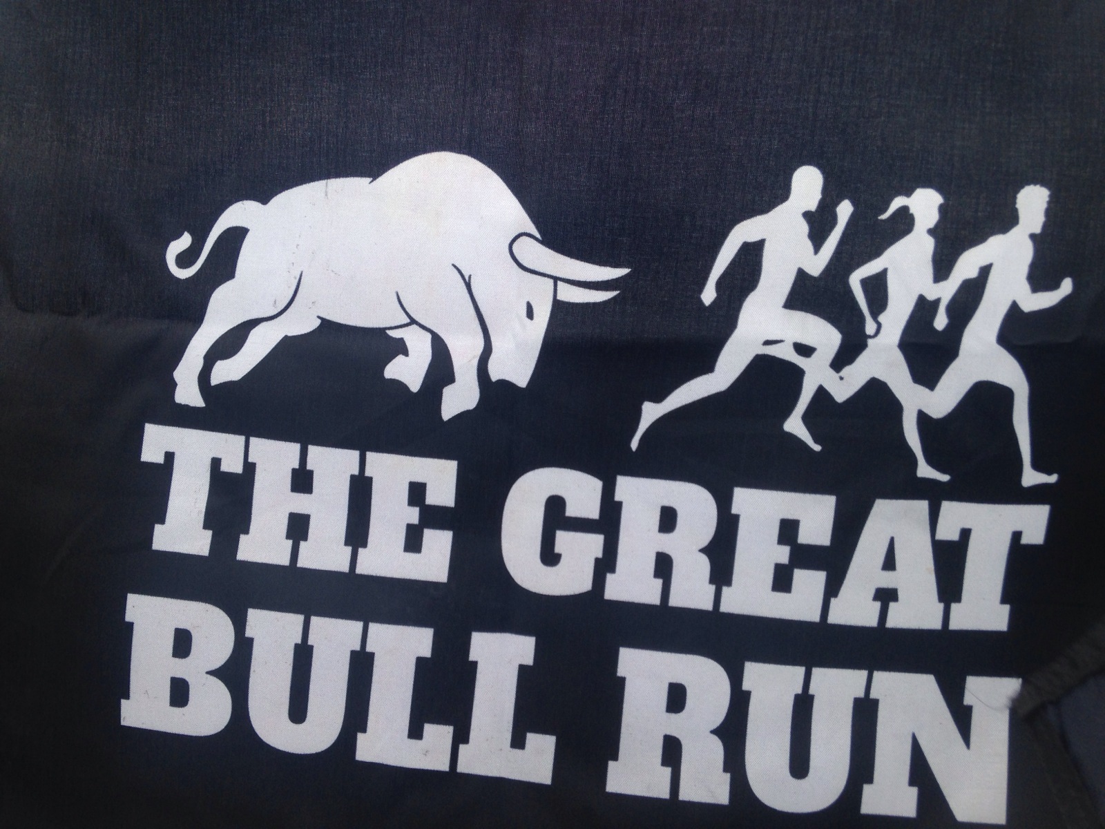 The Great Bull Run – Part 1